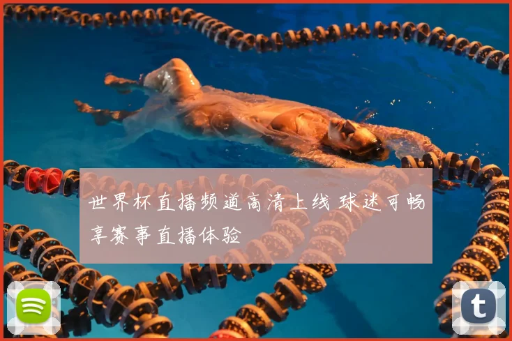 世界杯直播频道高清上线 球迷可畅享赛事直播体验