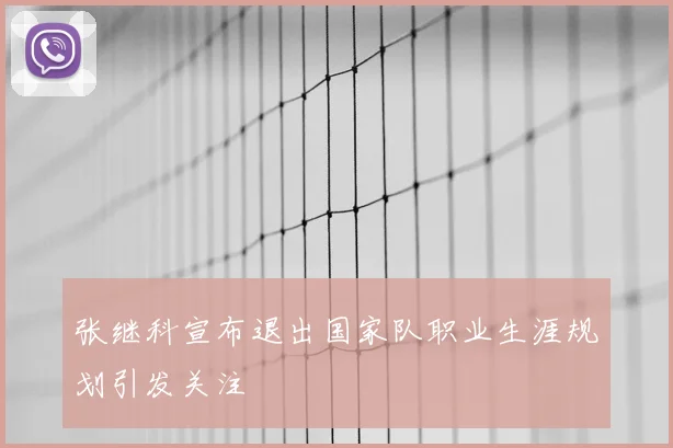 张继科宣布退出国家队职业生涯规划引发关注