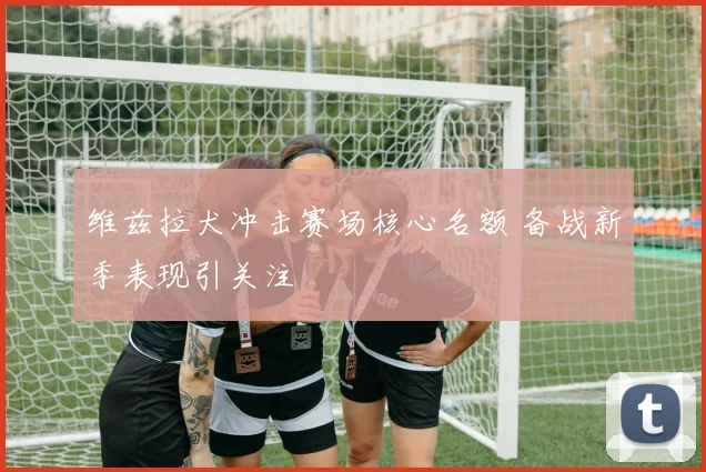 维兹拉犬冲击赛场核心名额 备战新季表现引关注